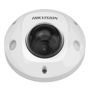 Domo IP Movil 2 Megapixel | Lente 2 mm | Micrófono Integrado | Funciones inteligentes: Detección de congestión de personas | WDR 120 dB | IP67 | IK10 | 30 Metros | Metal | Conector RJ45