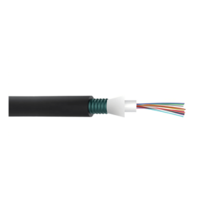 Cable de Fibra Óptica | 24 Hilos | Monomodo OS2 | OFCP Plenum | Interior-Exterior | Loose Tube 250μm | Armado | 2 ft Marcas