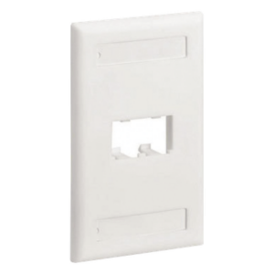 Placa de Pared Vertical | 2 Puertos Mini-Com | Diseño Inclinado | Con Espacios para Etiquetas | 2.75 x 4.5 pulgadas | Blanco