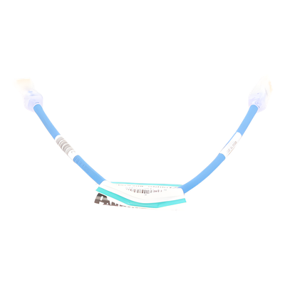 Cable de Parcheo UTP Cat6A | 28AWG | CM-LSZH | 0.3 m (1 Pie) | Azul - Image 2